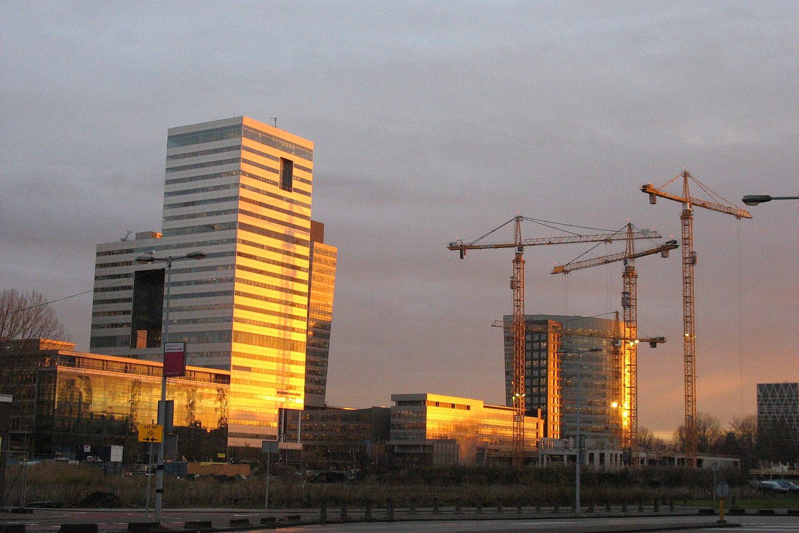 Office towers in the Amsterdam Zuidas business district